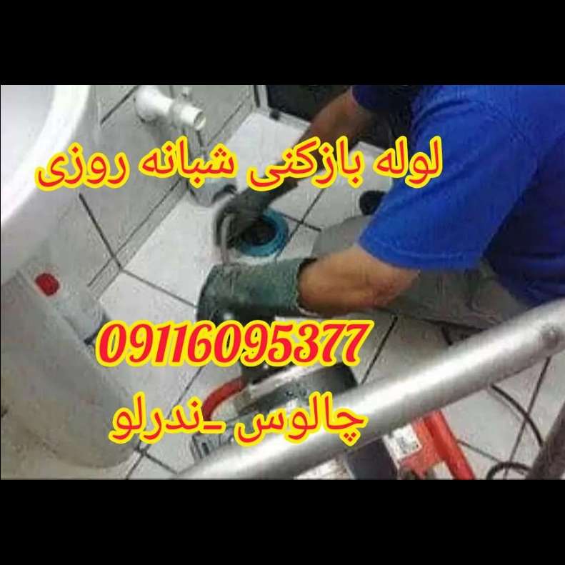 1698235272582.webp