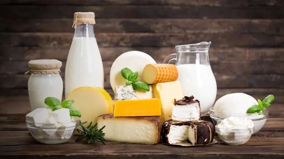 Sale of Hashemzadeh dairy products