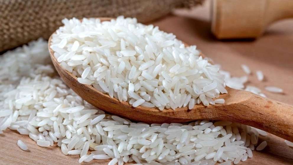 Akbarian Rice Trading