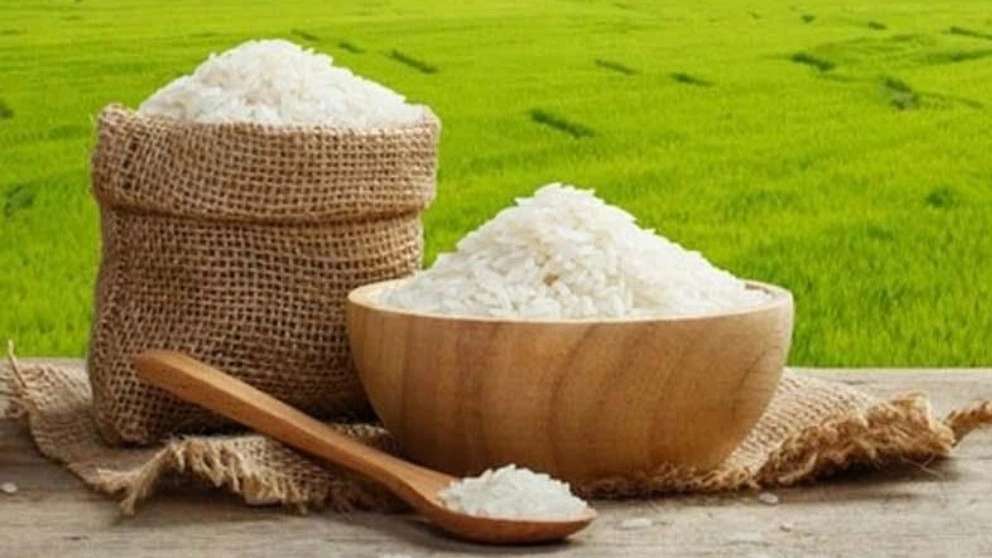 Akbarian Rice Trading
