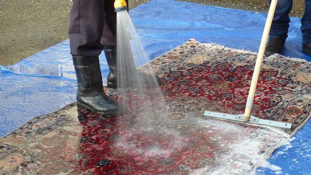 Turkuaz halı ve koltuk temizliği