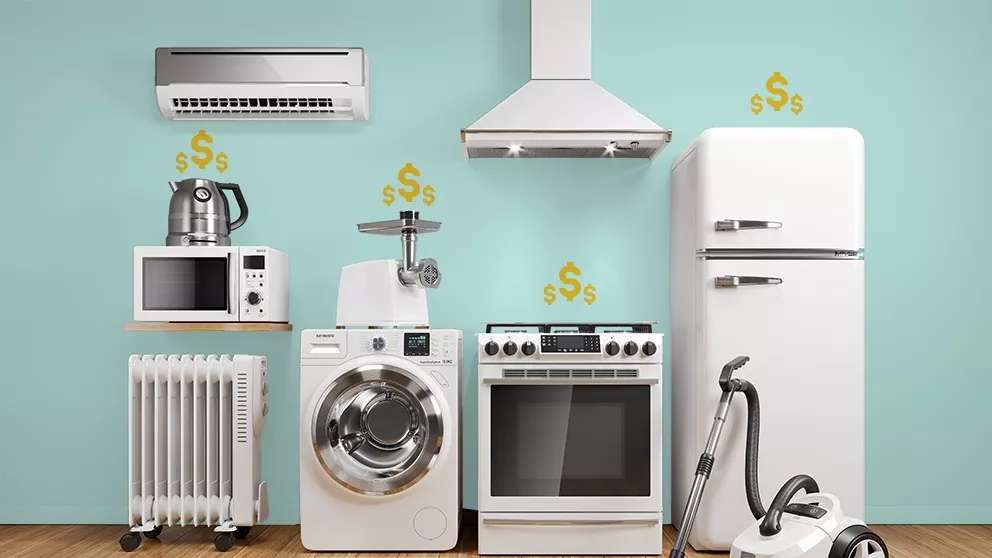 Ermine household appliances