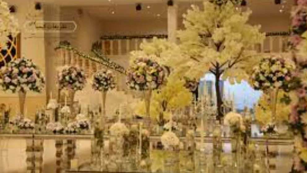 Delsa Design