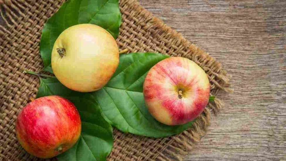 أنواع أشجار التفاح المحمدي