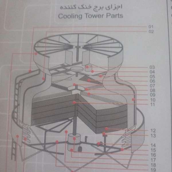 1699689209383.webp