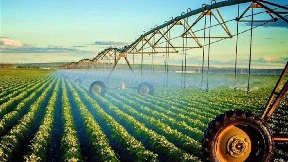 New green cultivation