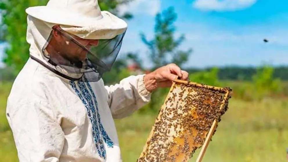 Mad Royal beekeeping equipment