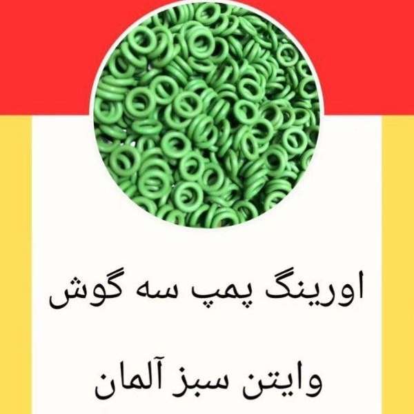 1699772072279.webp