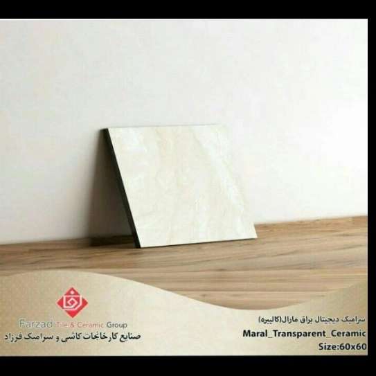 1699773684039.webp