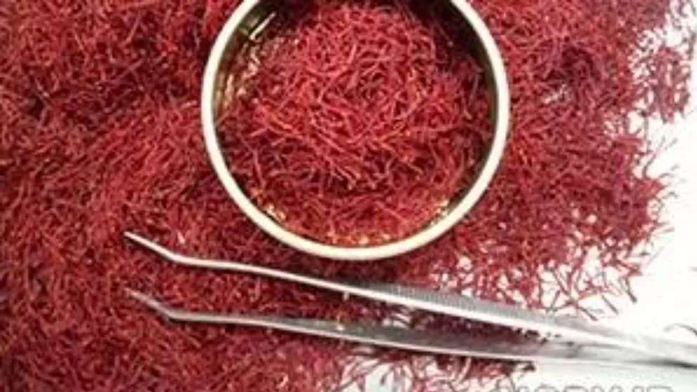 Export of saffron