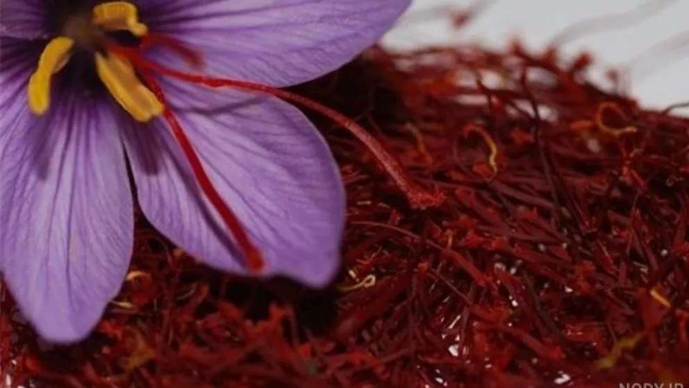 Export of saffron