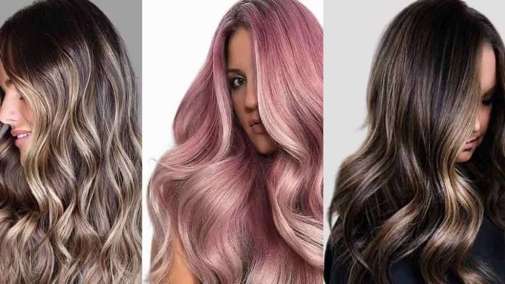 Color and Light and Paniz Khani Keratin