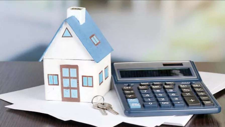 Real estate consultant