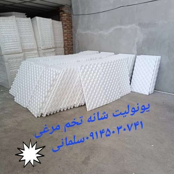 1699787602942.webp