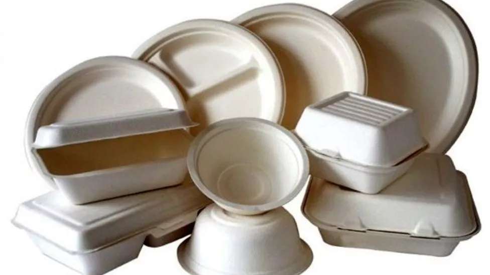 Mohseni disposable dishes