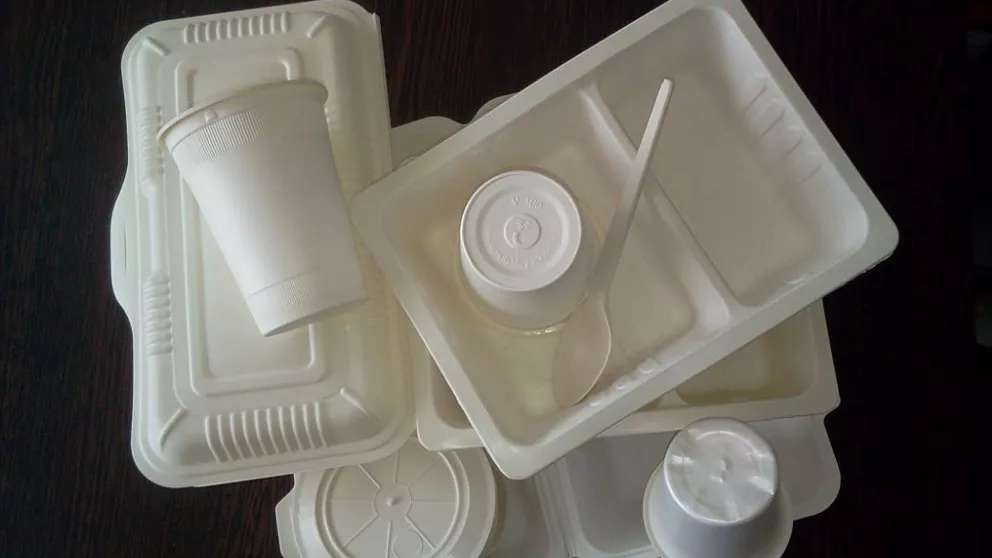 Mohseni disposable dishes