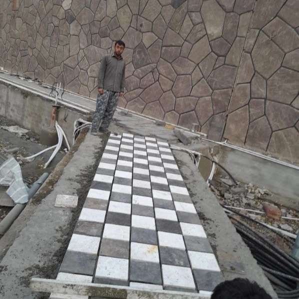 1699889483045.webp