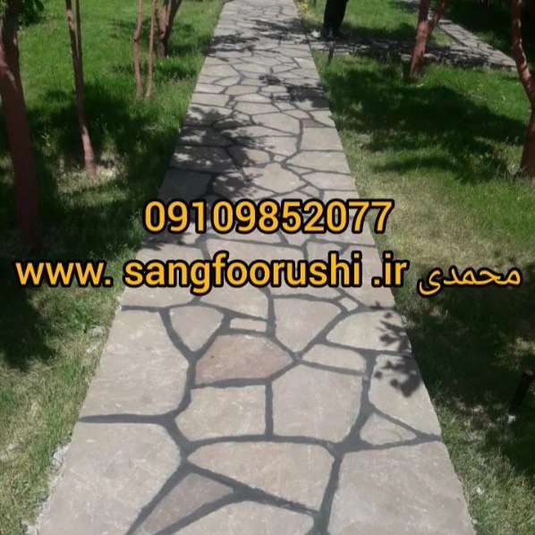 1700121139902.webp