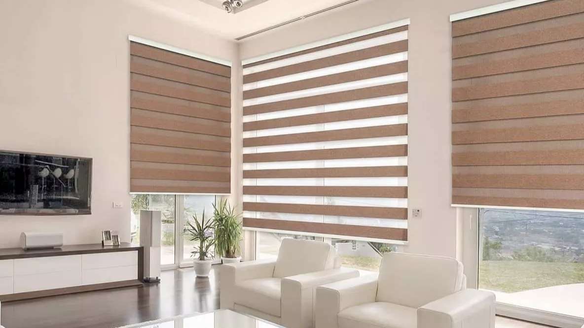 The main representative of Zebra Deniz