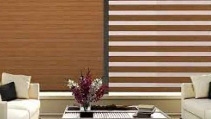The main representative of Zebra Deniz