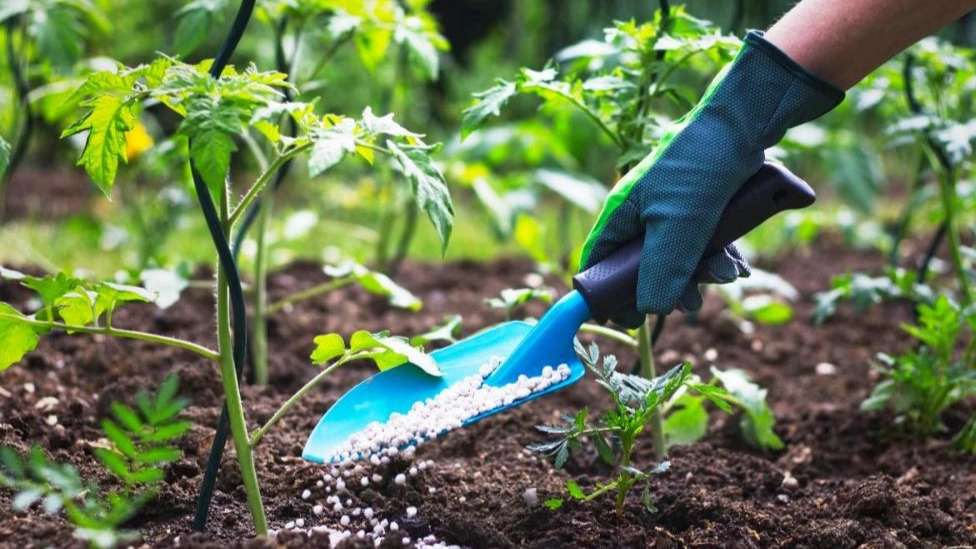 Sena's organic agricultural products