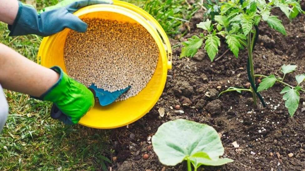 Sena's organic agricultural products