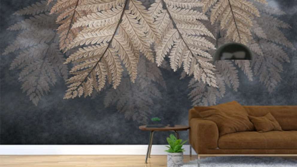 Pirzad broadcasting company