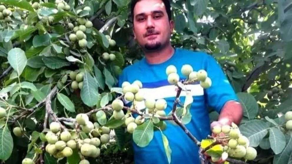 Nahal Shahr Nursery