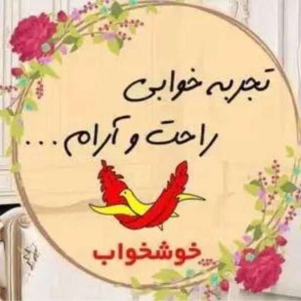 1701245491935.webp