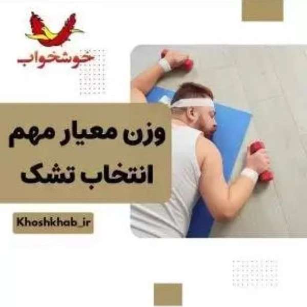 1701245518731.webp