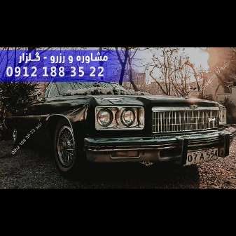 1701338955450.webp