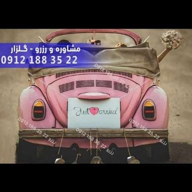 1701339329795.webp