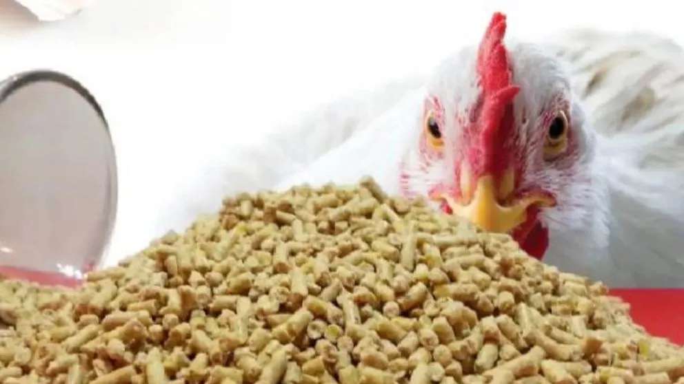 مجموعة خليفة للإنتاج التجاري