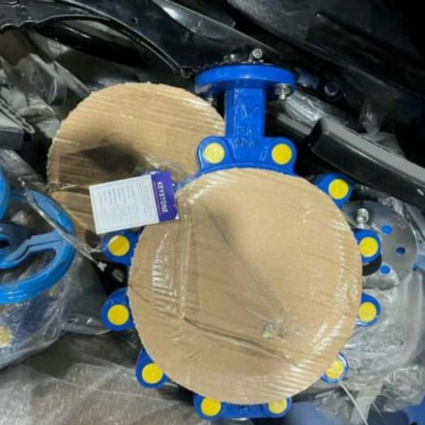 1701676888556.webp