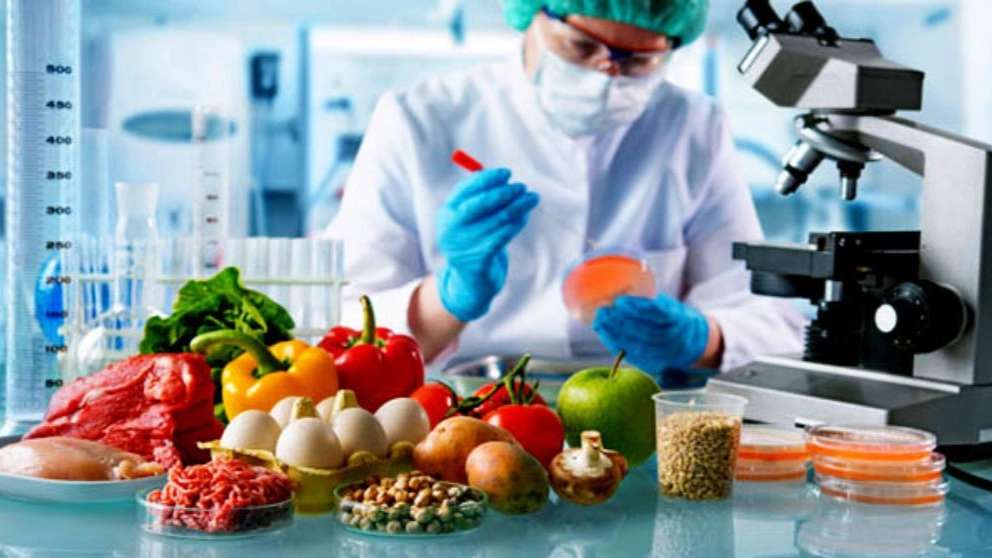 Chakar Food Industries Group