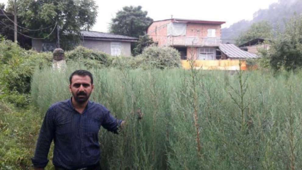Cultivation of Nahal Gostar flowers and plants