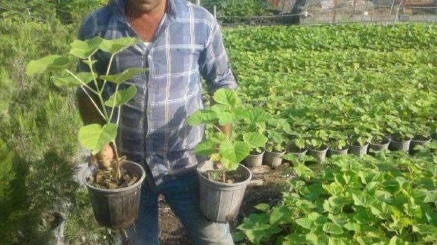 Cultivation of Nahal Gostar flowers and plants