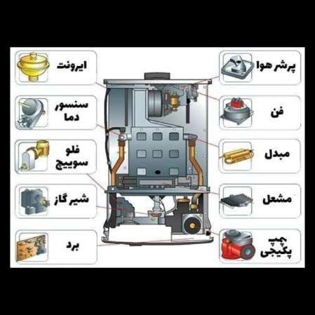 1703316836067.webp