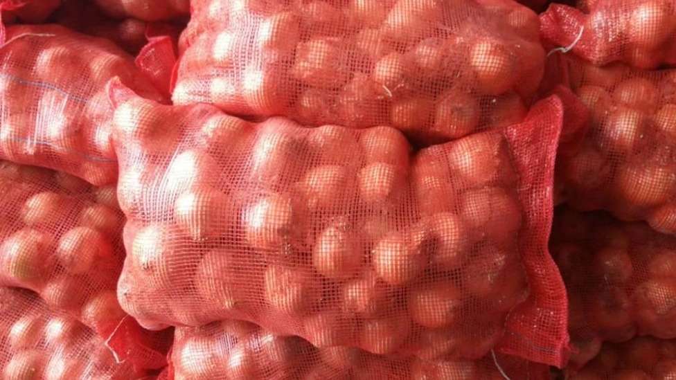 Torine Baft Co