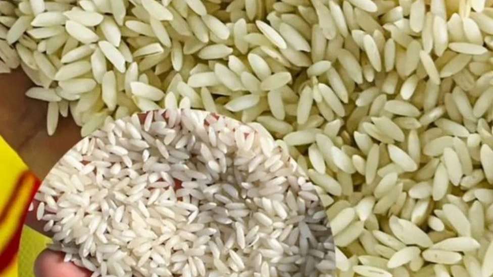 Shushtar Talai Bahman local rice