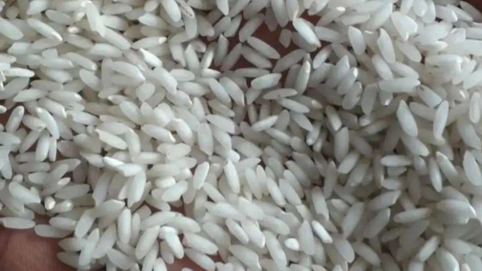 Shushtar Talai Bahman local rice
