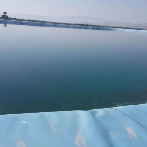 1703753323087.webp