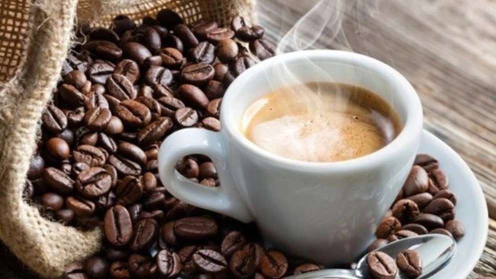 Kafe Plus