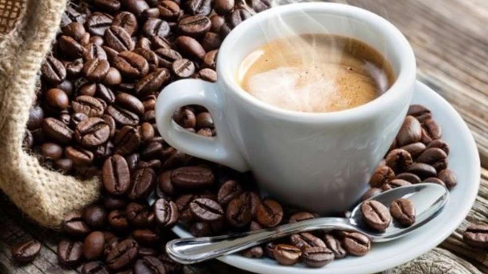 Kafe Plus