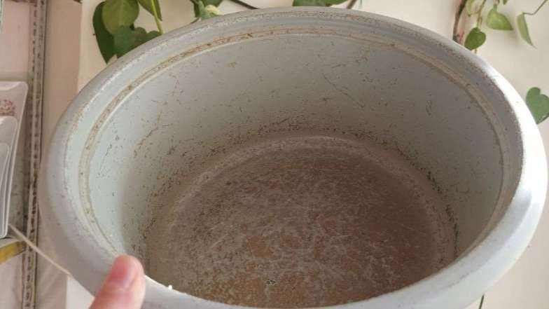 Agency for restoration of Moghaddam dishes
