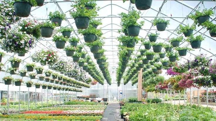 Old greenhouse equipment