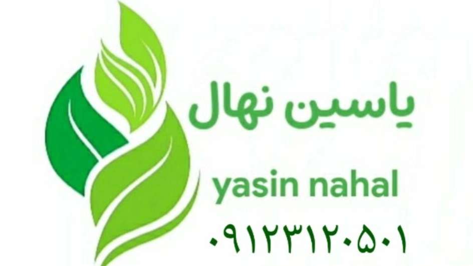 Yasin Nursery