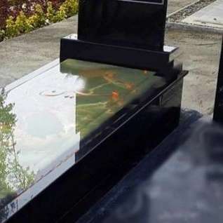 1706506896743.webp