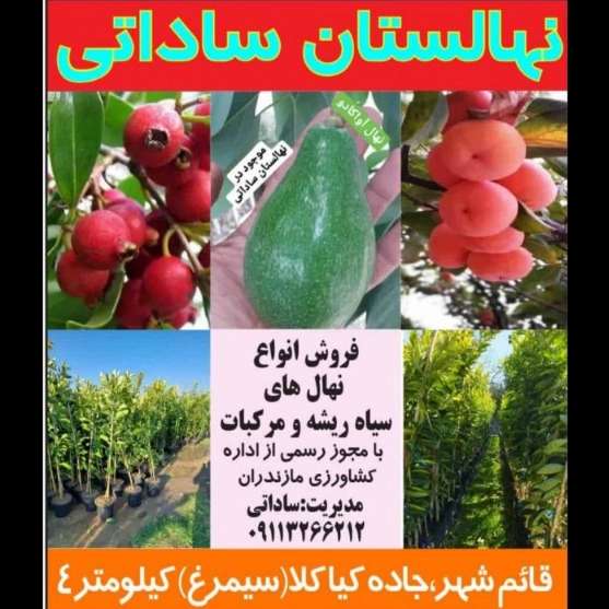 1706523538590.webp