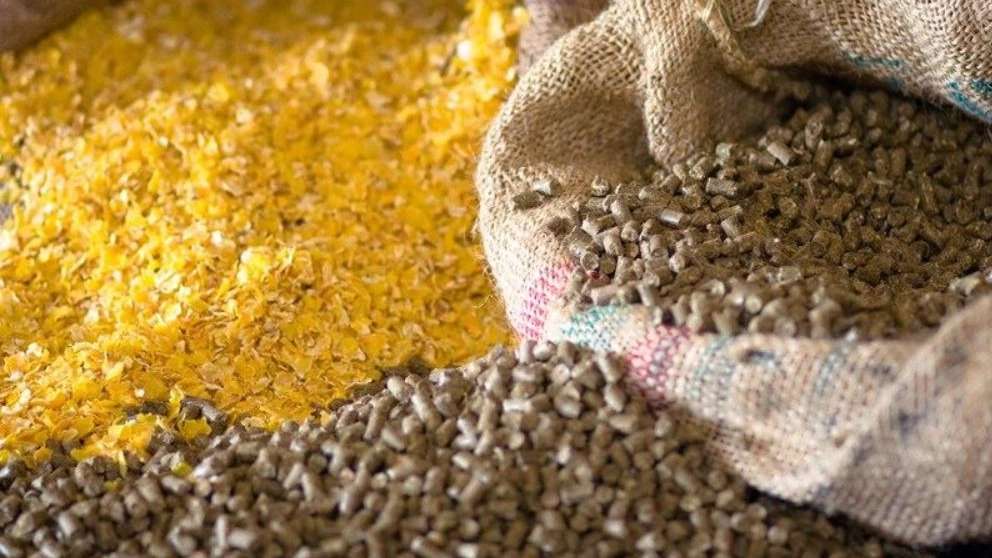 Livestock and poultry feed
